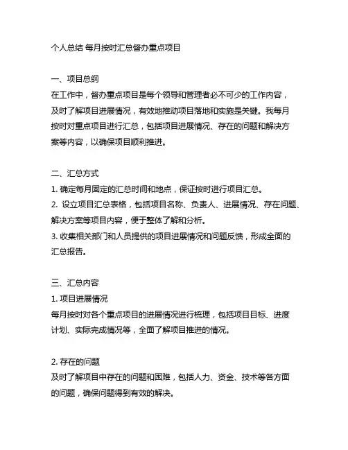 个人总结 每月按时汇总督办重点项目