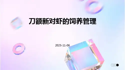 刀额新对虾的饲养管理