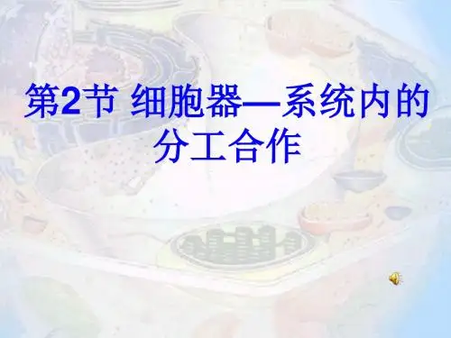 细胞器上课用第一课时