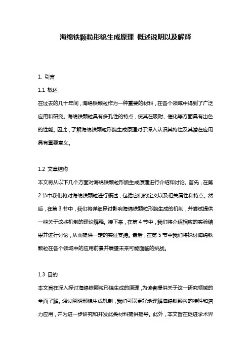 海绵铁颗粒形貌生成原理_概述说明以及解释