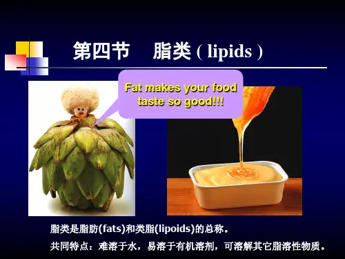 脂类