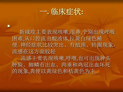 新城疫与禽流感的鉴别诊断