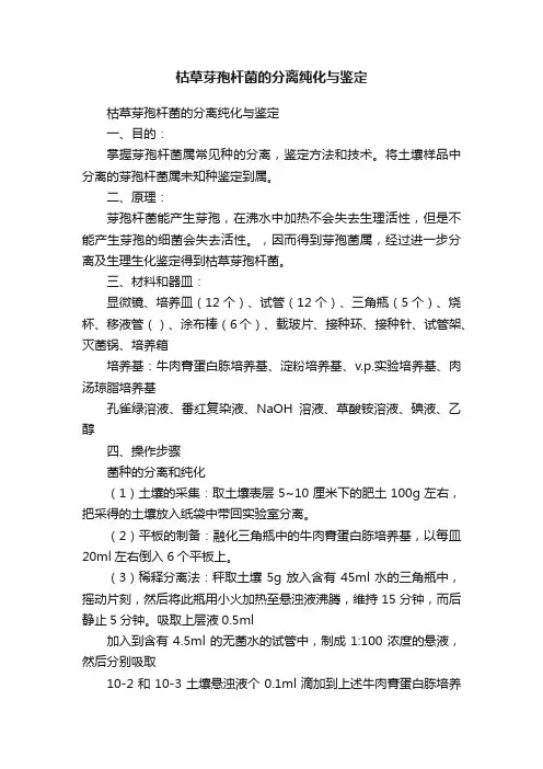 枯草芽孢杆菌的分离纯化与鉴定
