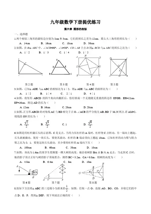 第六章 图形的相似提优练习 2022-2023学年苏科版数学九年级下册