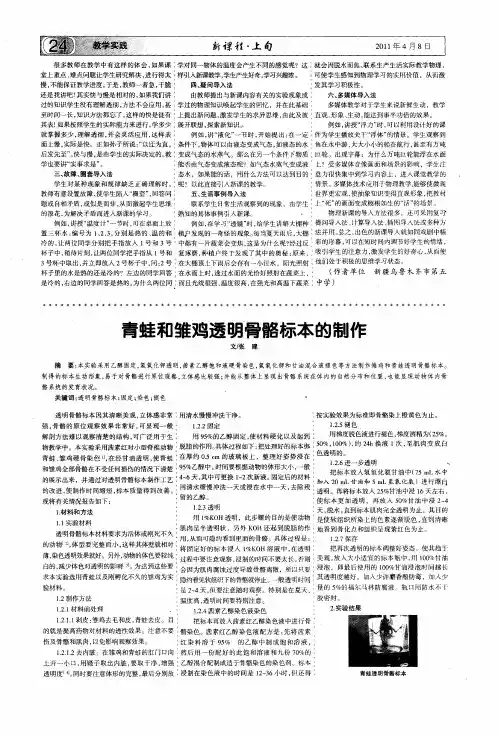 青蛙和雏鸡透明骨骼标本的制作
