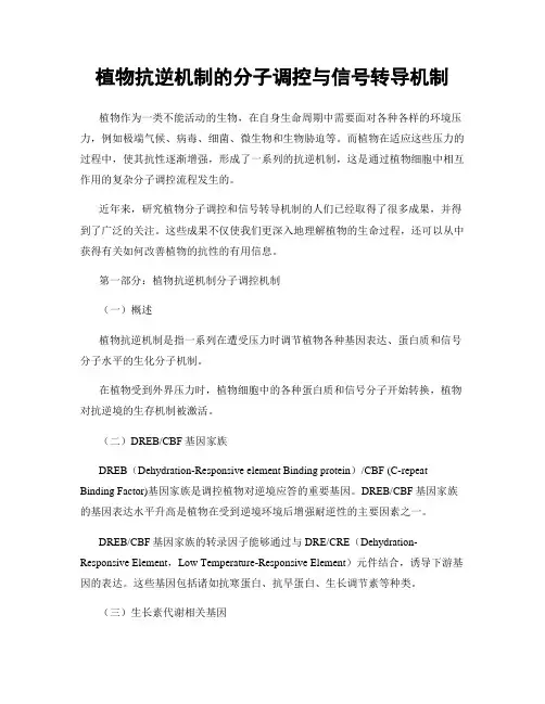 植物抗逆机制的分子调控与信号转导机制