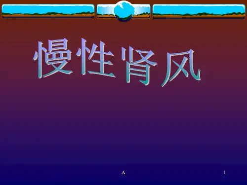 《mn慢性肾风》PPT课件