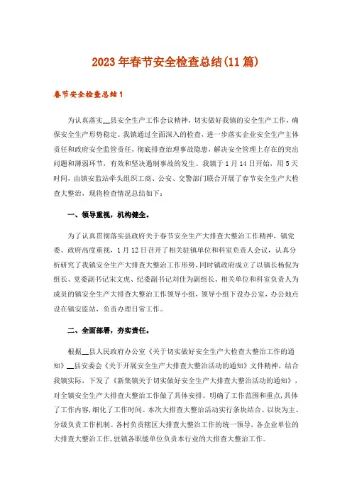 2023年春节安全检查总结(11篇)