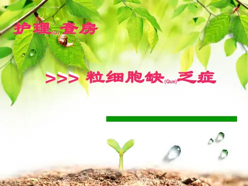 粒细胞缺乏症的护理培训课程ppt