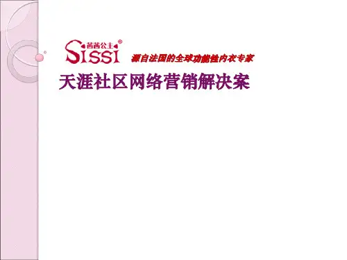 广告策划精品案例-茜茜公主品牌内衣网络宣传推广策划方案文案 (NXPowerLite)