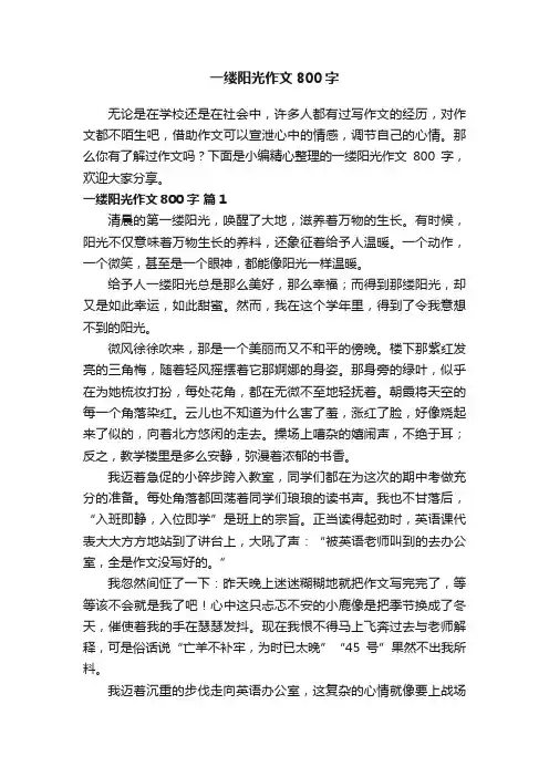 一缕阳光作文800字（通用19篇）