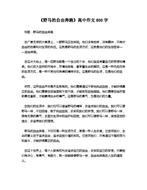 《野马的自由奔跑》高中作文800字