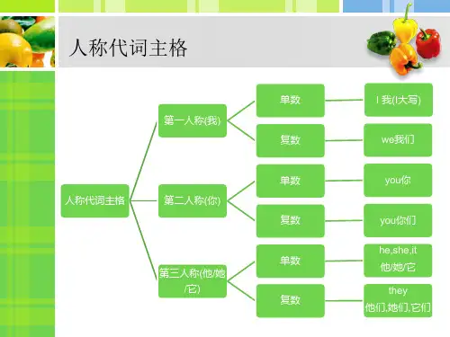 一般现在时及动词的三单形式和主格复习