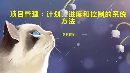 项目管理：计划、进度和控制的系统方法