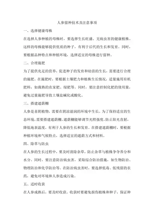 人参留种技术及注意事项