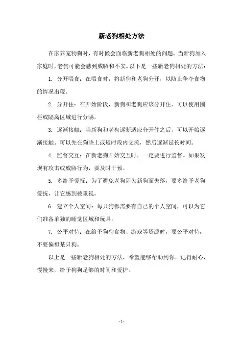 新老狗相处方法