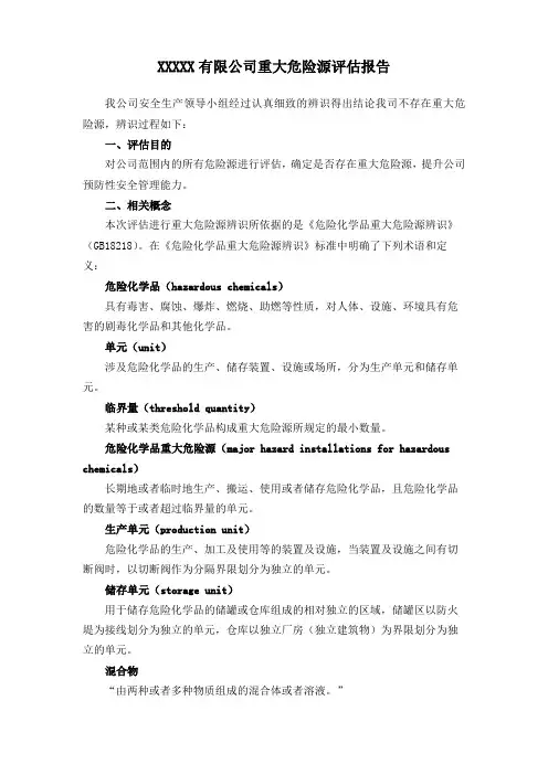 重大危险源评估报告