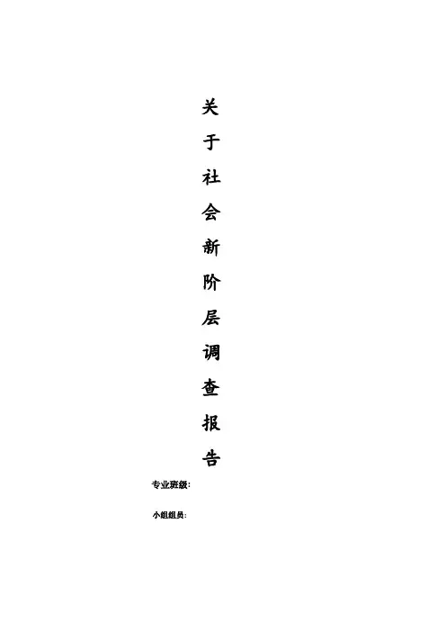 社会新阶层调查研究报告