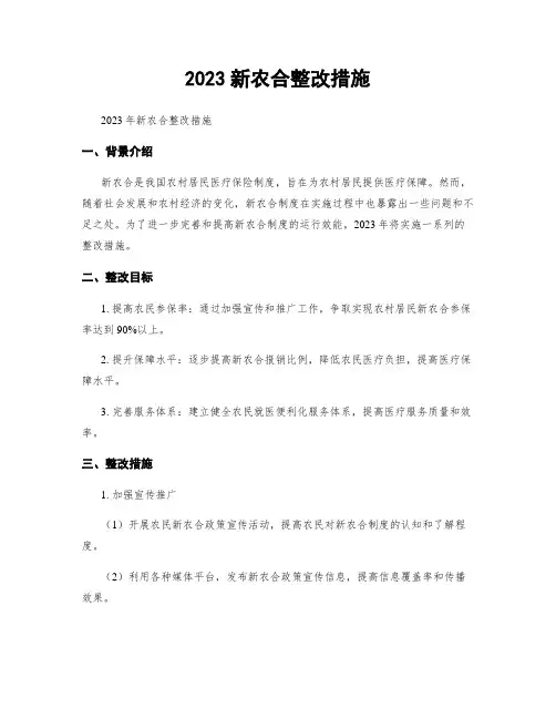 2023新农合整改措施