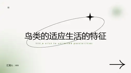 鸟类的适应生活的特征