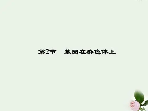 【优化指导】高中生物 2-2 基因在染色体上同步备课课件 新人教版必修2