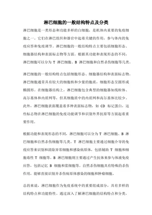淋巴细胞的一般结构特点及分类