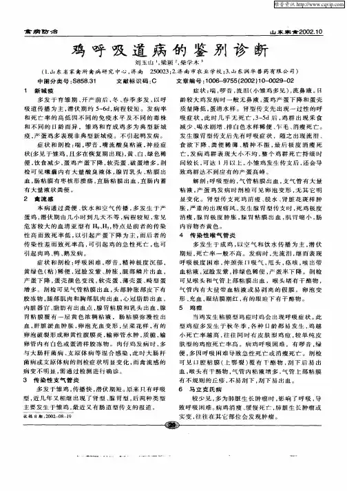鸡呼吸道病的鉴别诊断