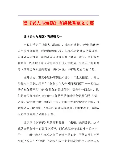 读《老人与海鸥》有感优秀范文5篇