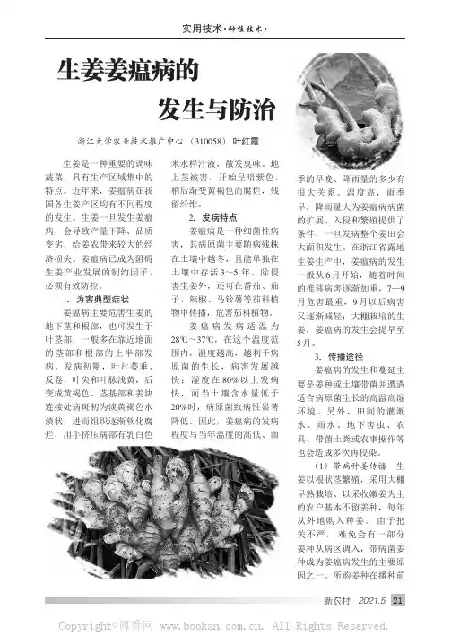 生姜姜瘟病的发生与防治