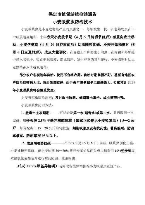 小麦吸浆虫蚜虫防治技术