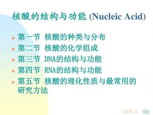 核酸的结构与功能