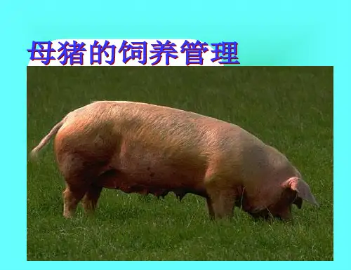 《母猪的饲养管理》PPT课件