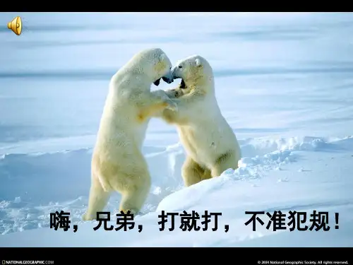 《动物游戏之谜》优秀课件_ppt