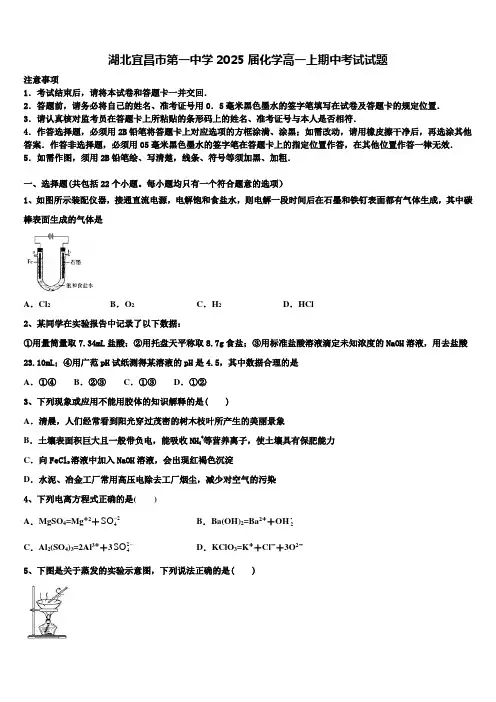 湖北宜昌市第一中学2025届化学高一上期中考试试题含解析
