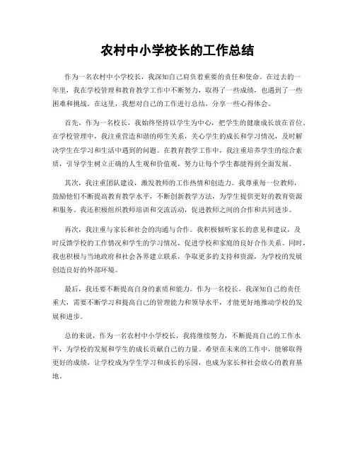 农村中小学校长的工作总结