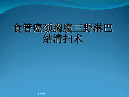 食管癌三野淋巴结清扫术申报答辩