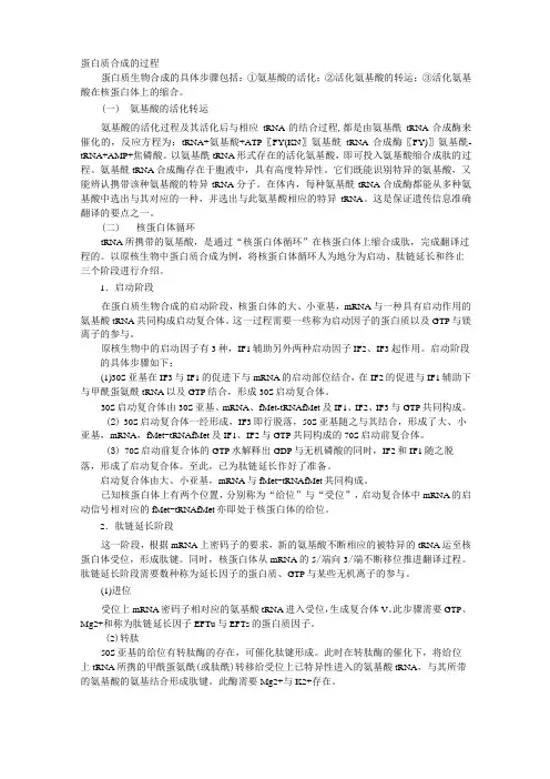 原核生物蛋白质合成的过程