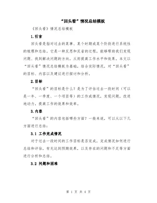 “回头看”情况总结模板