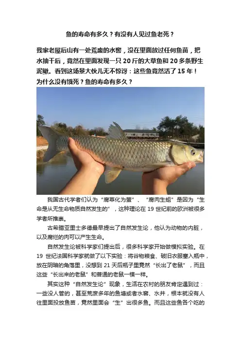鱼的寿命有多久？有没有人见过鱼老死？