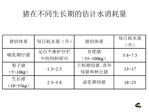 猪舍总体建筑组织设计