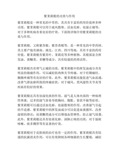紫茉莉根的功效与作用