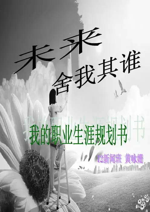 职业生涯规划书(记者行业)