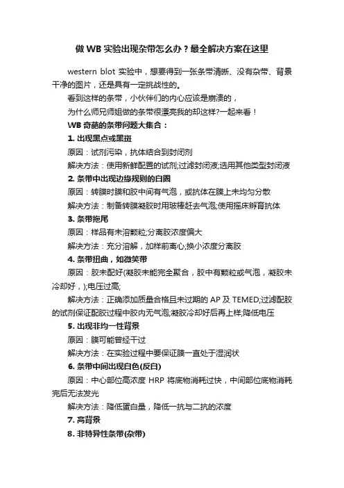 做WB实验出现杂带怎么办？最全解决方案在这里