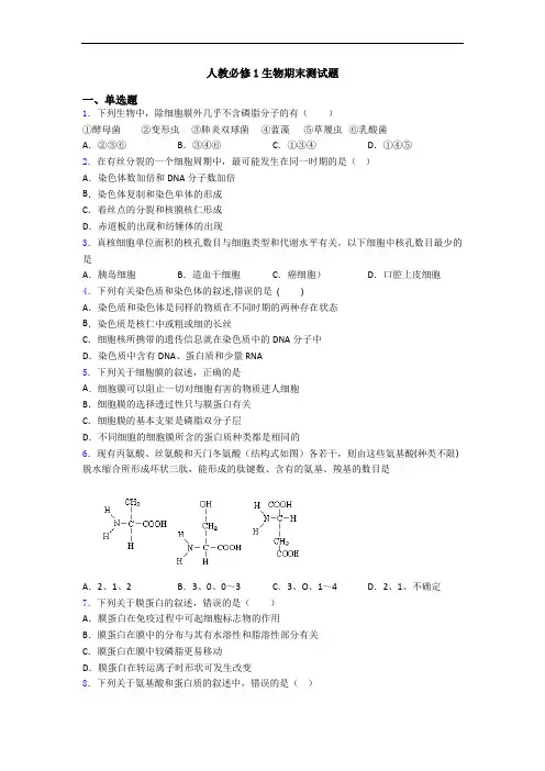 人教必修1生物期末测试题