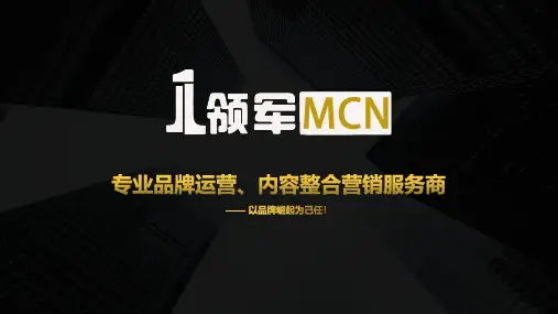 领军MCN简介0423