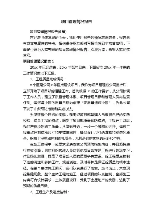 项目管理情况报告