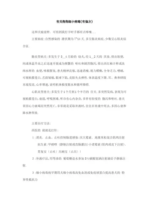 有关狗狗细小病毒(有偏方)