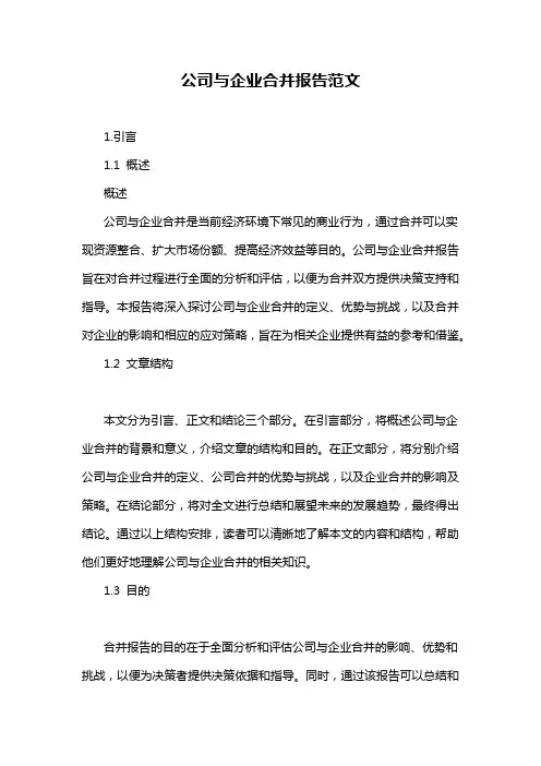 公司与企业合并报告范文