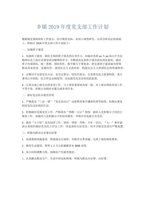 最新-乡镇2019年度党支部工作计划 精品