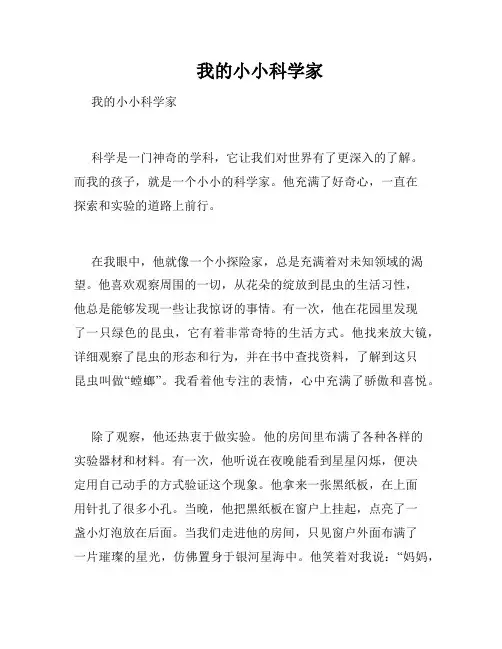     我的小小科学家